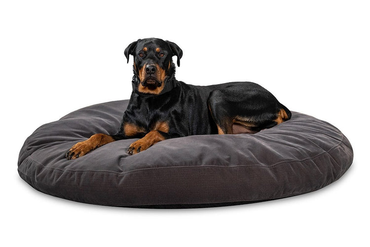 Wayfair  Chew Resistant Dog Beds